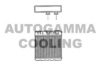 AUTOGAMMA 102541 Heat Exchanger, interior heating